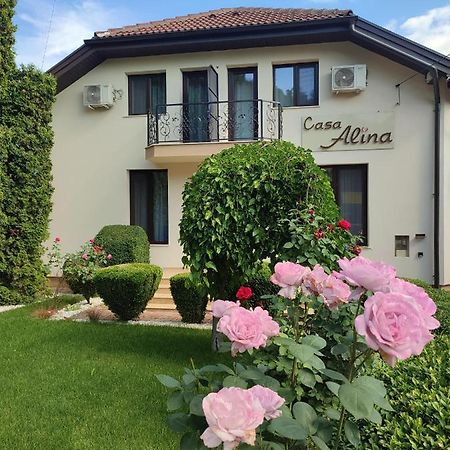 Hotel Casa Alina à Deva Extérieur photo