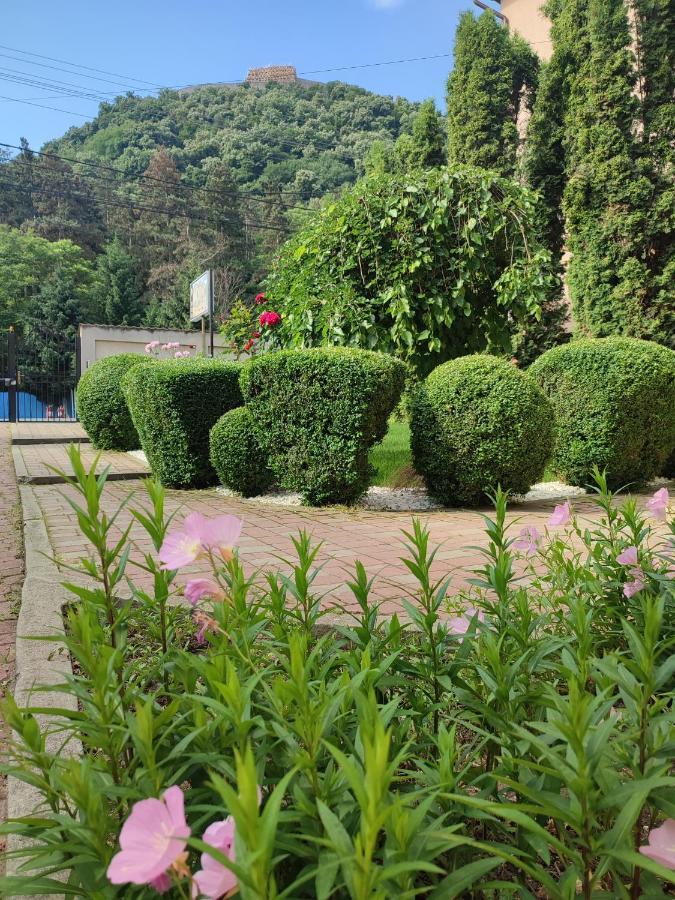 Hotel Casa Alina à Deva Extérieur photo