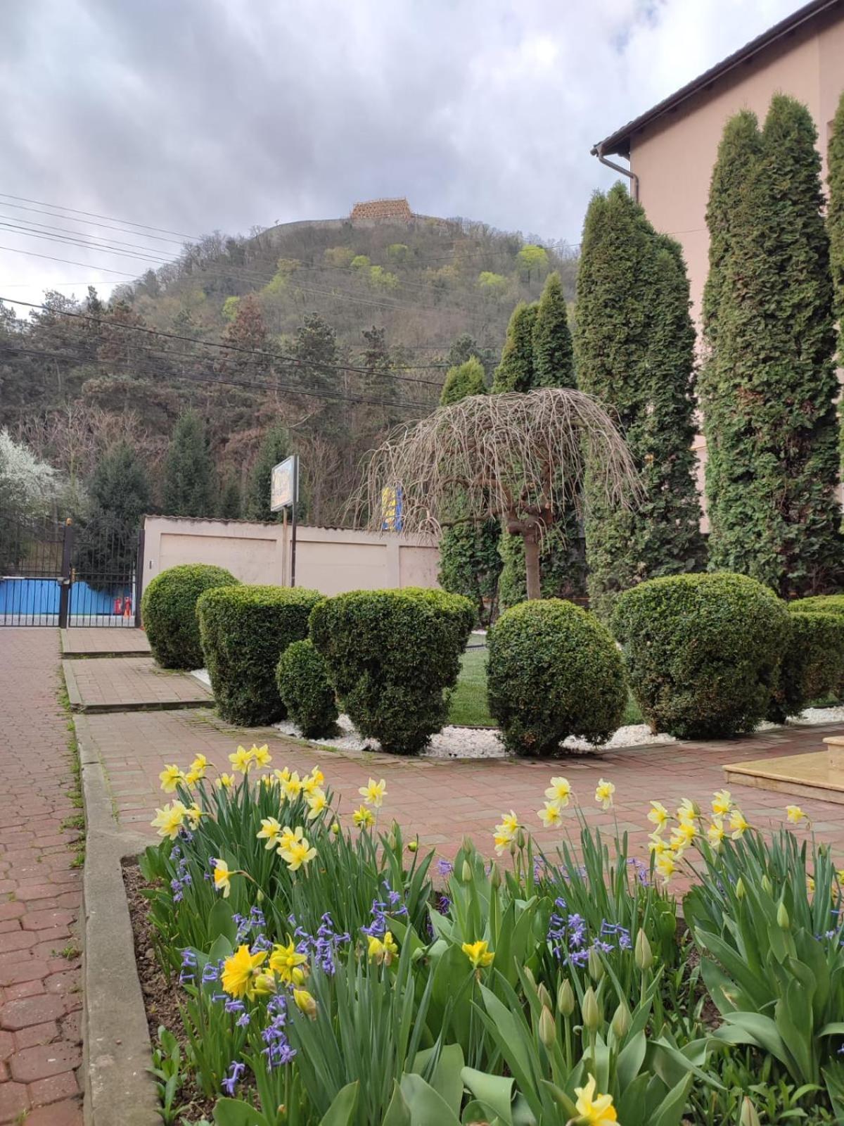 Hotel Casa Alina à Deva Chambre photo